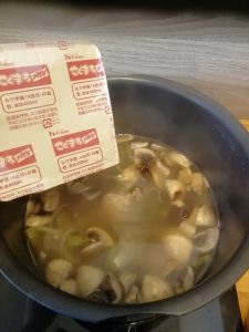 Hayashi Japanische Gulasch Curry